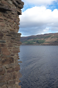 DSCF9484.jpg