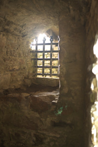 DSCF9496.jpg