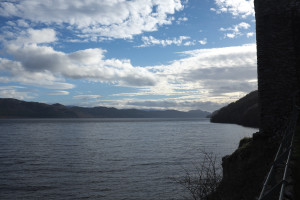 DSCF9499.jpg