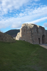 DSCF9501.jpg