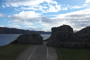 DSCF9508.jpg
