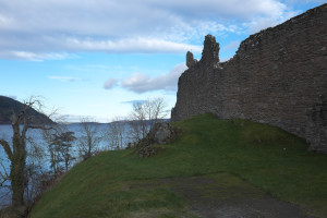 DSCF9509.jpg