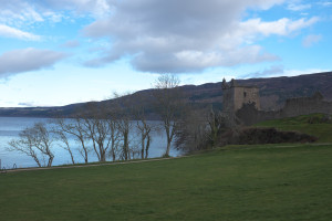 DSCF9510.jpg