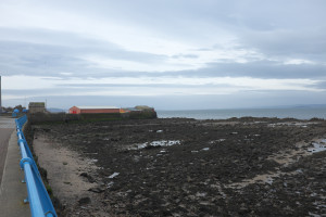 DSCF9514.jpg