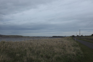 DSCF9516.jpg