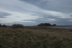 DSCF9517.jpg
