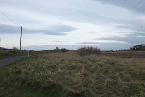 DSCF9518.jpg
