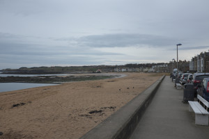 DSCF9519.jpg