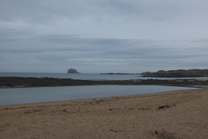 DSCF9520.jpg