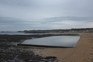 DSCF9523.jpg
