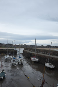 DSCF9525.jpg