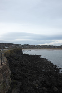 DSCF9527.jpg