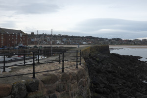 DSCF9528.jpg