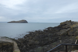 DSCF9531.jpg