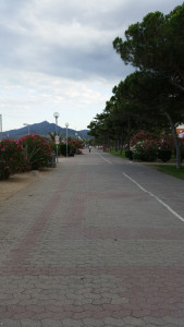 20140731_194837.jpg