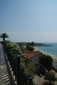 IMGP0005.JPG