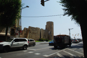 IMGP0012.JPG