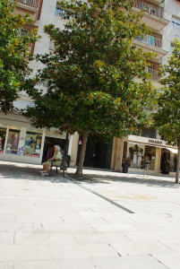 IMGP0013.JPG