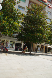 IMGP0014.JPG