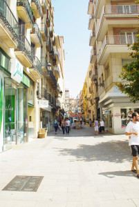 IMGP0015.JPG