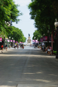 IMGP0036.JPG