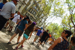 IMGP0048.JPG