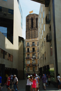 IMGP0054.JPG