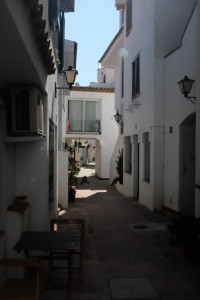 X1001482.JPG