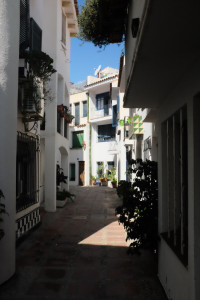 X1001483.JPG