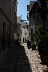 X1001489.JPG