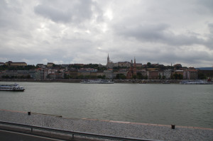 IMGP0016.JPG