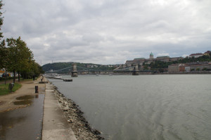 IMGP0017.JPG