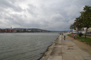 IMGP0018.JPG