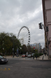 IMGP0023.JPG