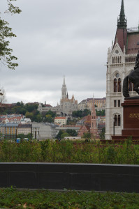 IMGP0026.JPG