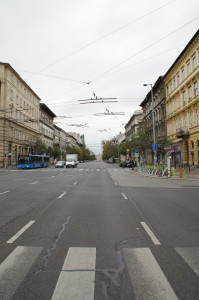 IMGP0030.JPG