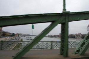 IMGP0045.JPG