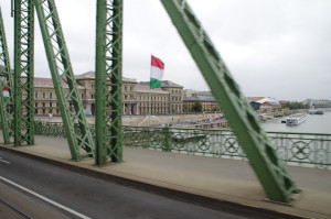 IMGP0047.JPG