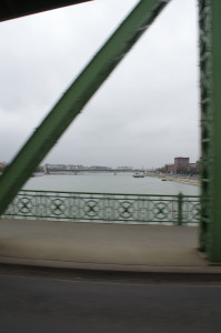 IMGP0049.JPG