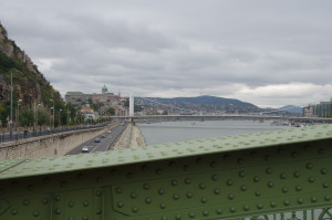 IMGP0051.JPG