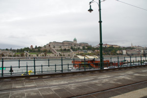 IMGP0060.JPG