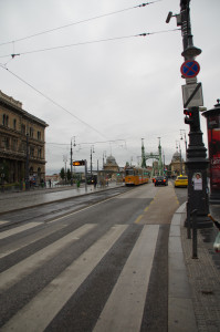 IMGP0081.JPG