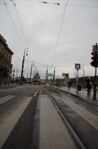 IMGP0082.JPG