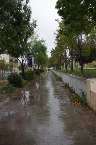 IMGP0114.JPG