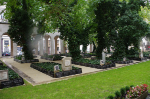 IMGP0117.JPG