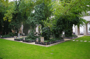 IMGP0119.JPG