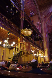 IMGP0125.JPG