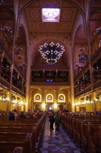 IMGP0128.JPG