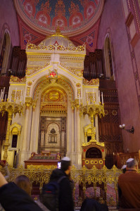 IMGP0129.JPG