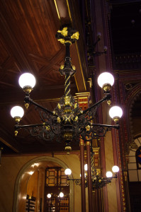 IMGP0131.JPG